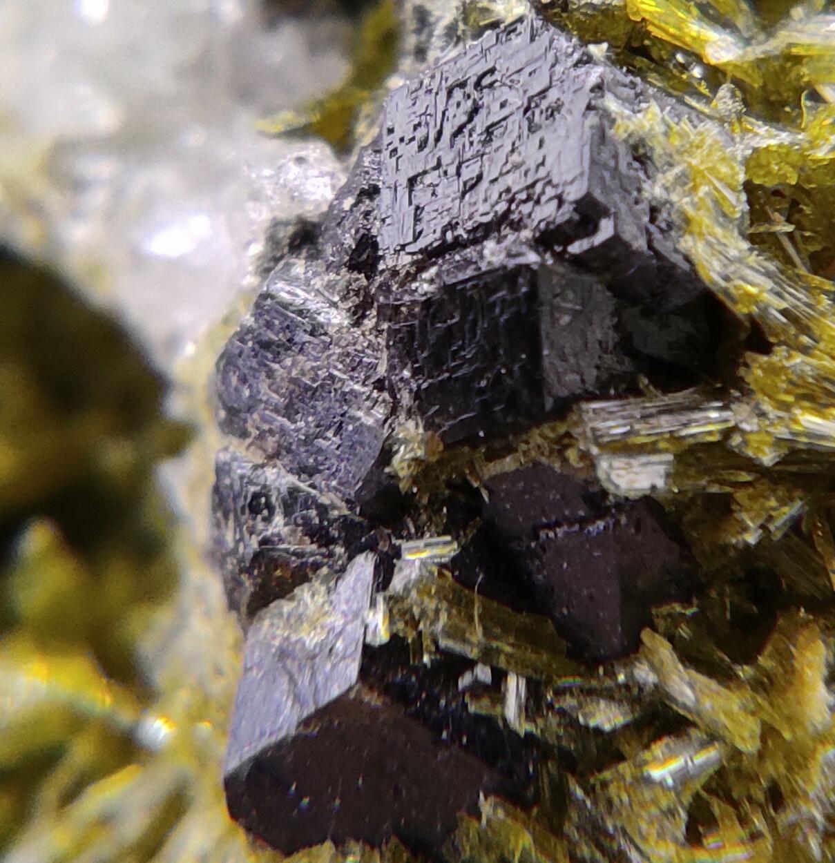 Clinozoisite Calcite & Andradite