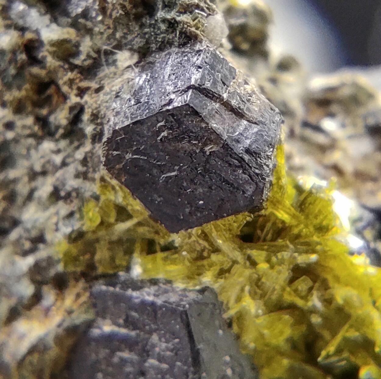 Clinozoisite Calcite & Andradite