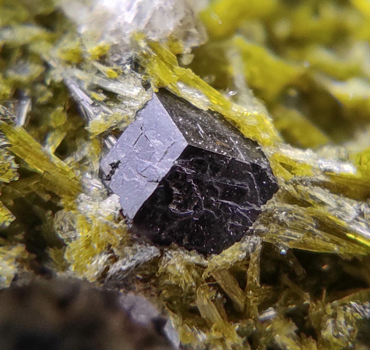 Clinozoisite Calcite & Andradite