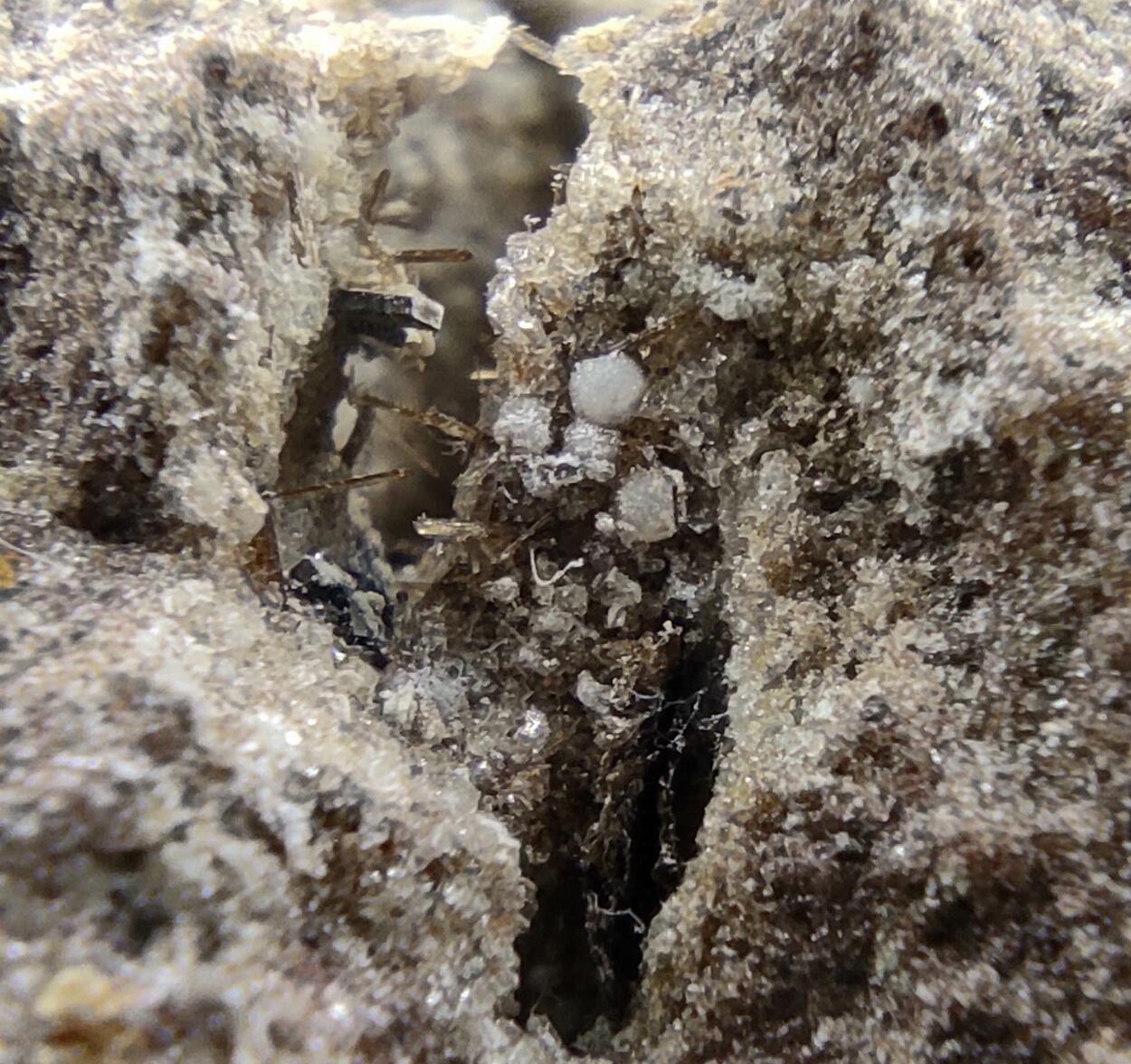 Enstatite Armalcolite Calcite & Tridymite