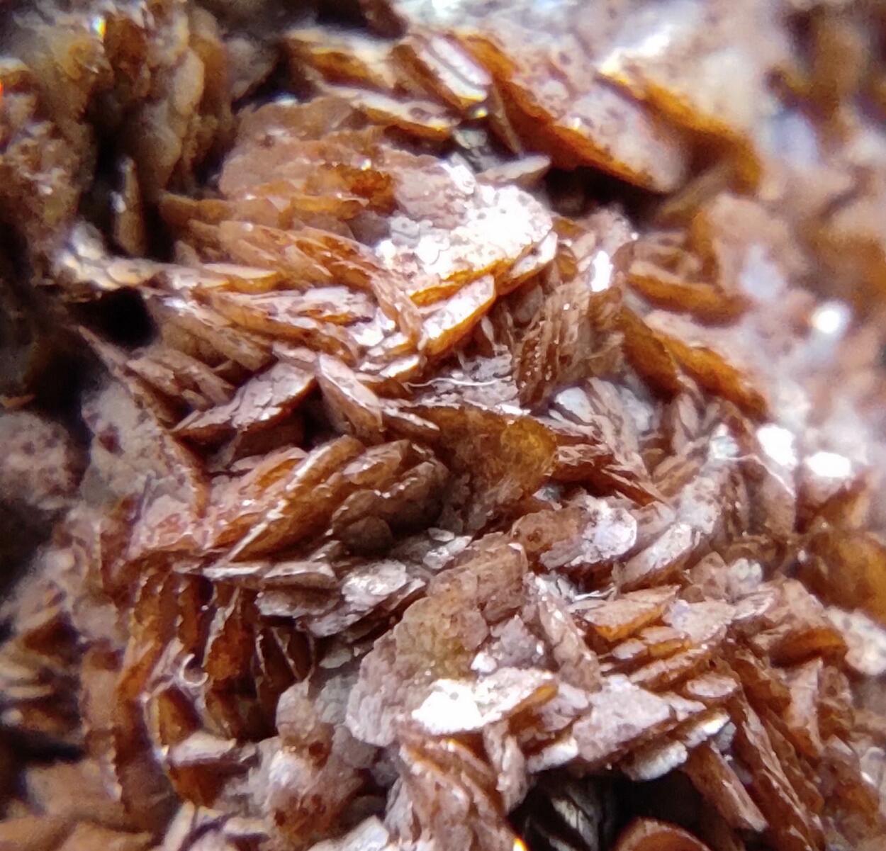 Siderite