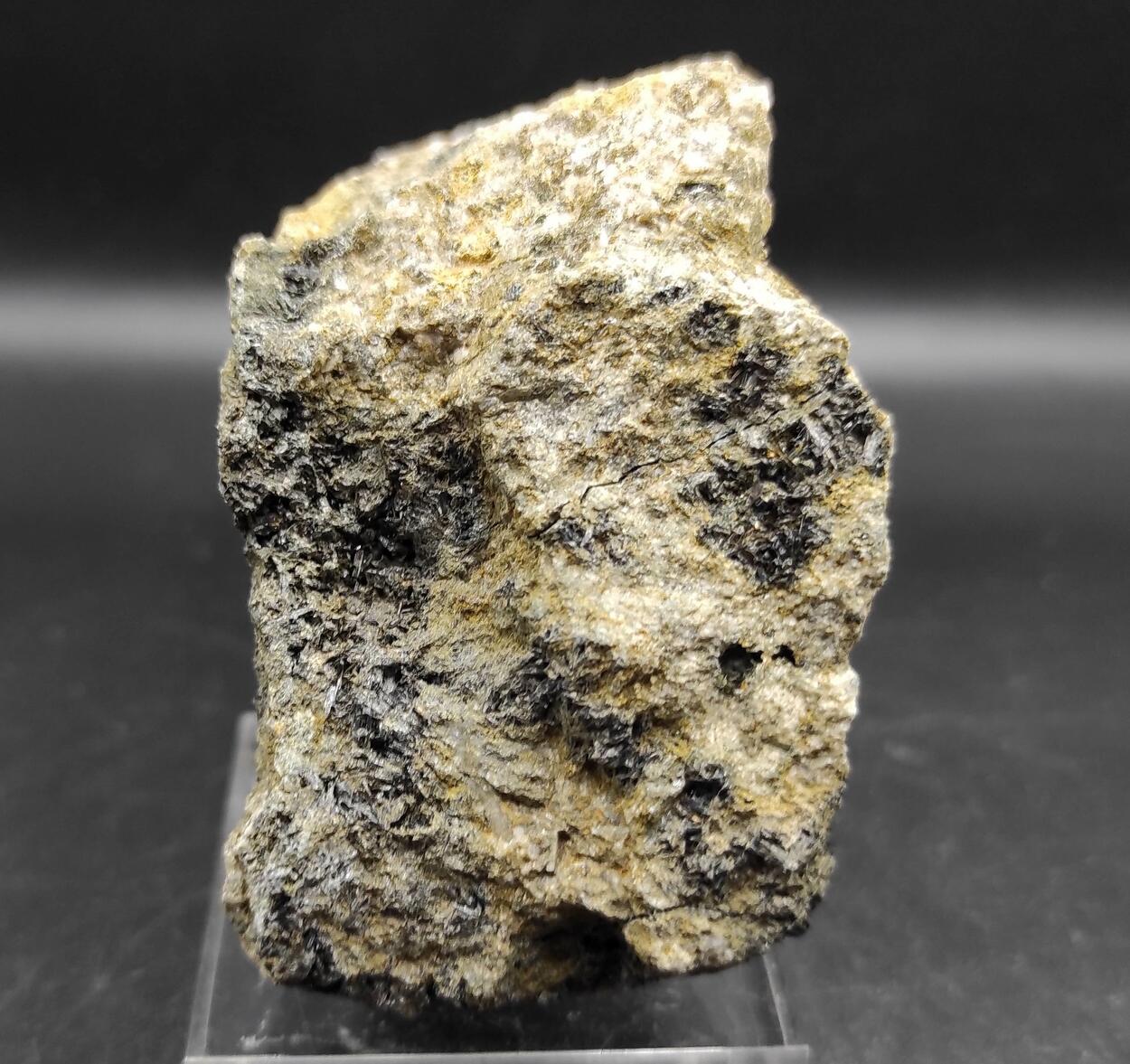 Ferro-actinolite