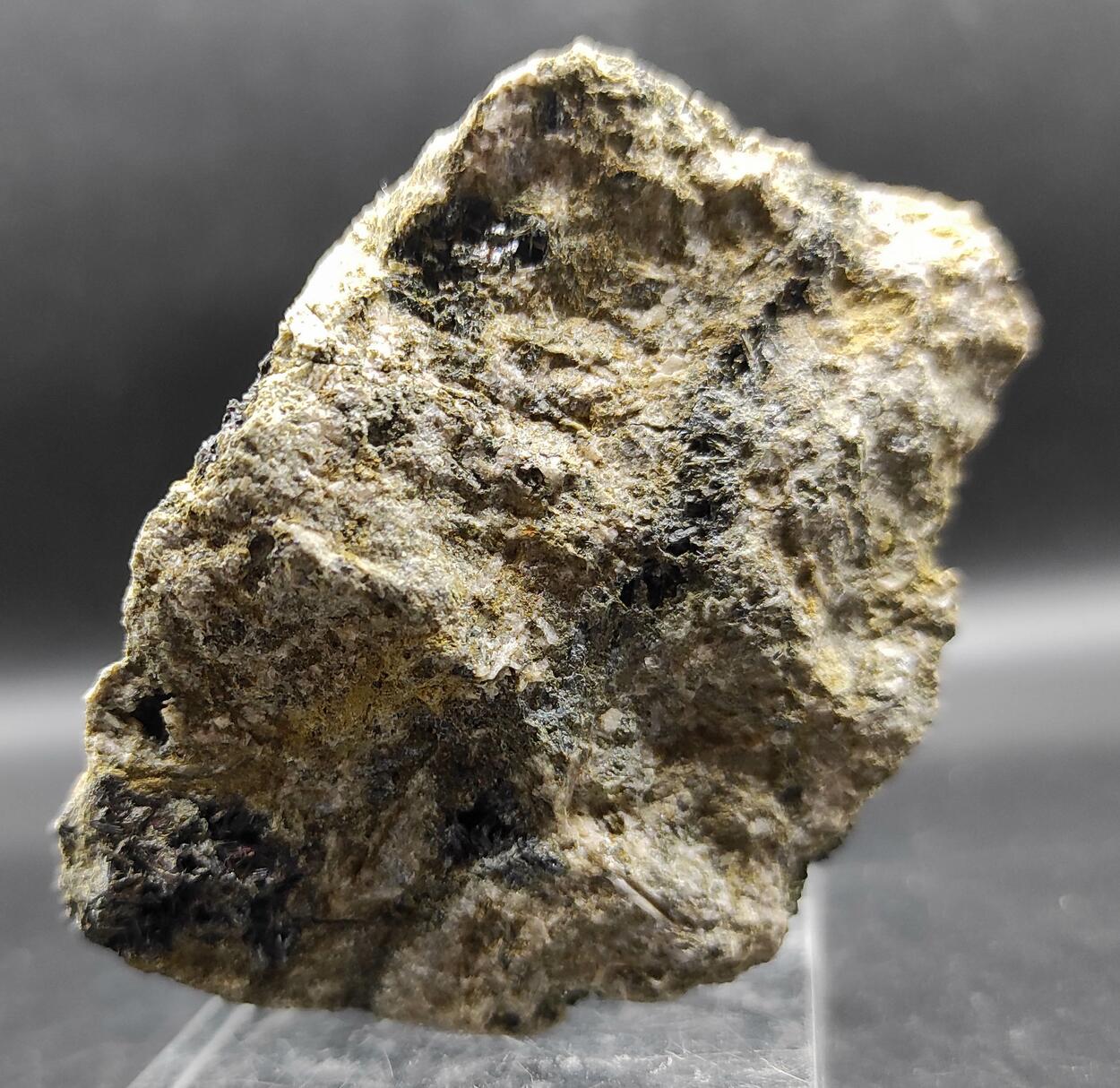 Ferro-actinolite