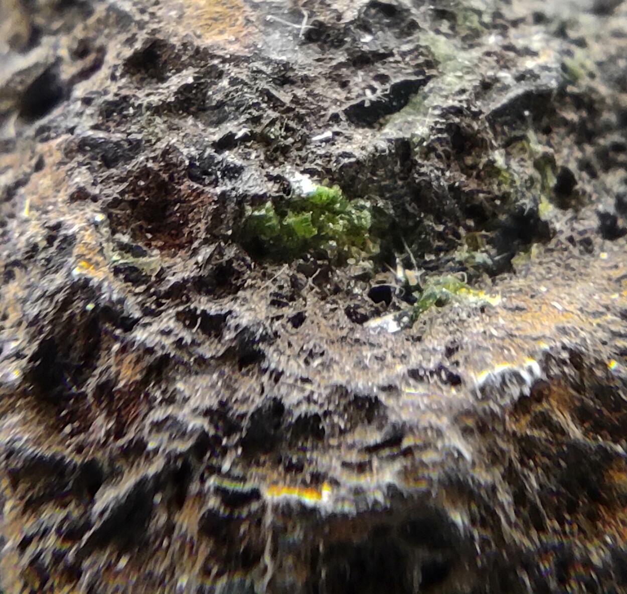 Pyromorphite