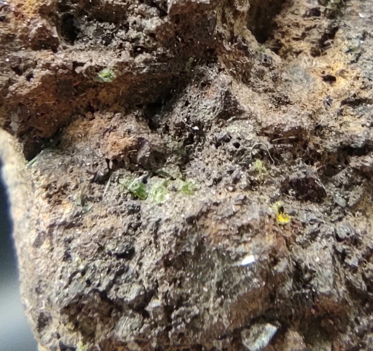 Pyromorphite