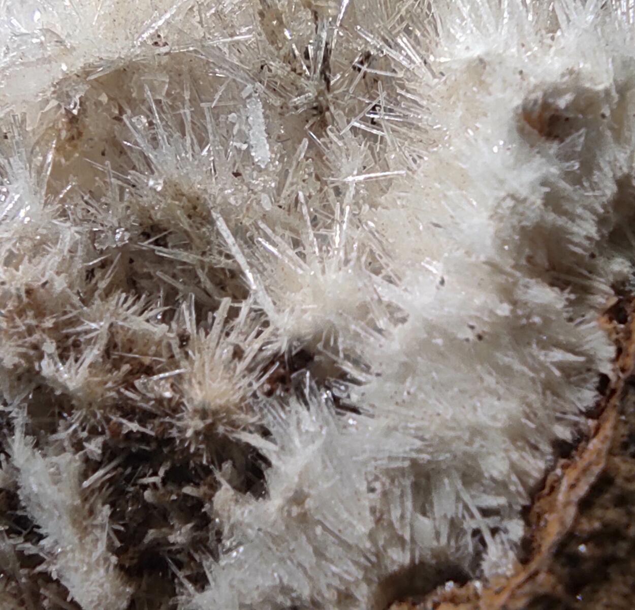 Aragonite & Calcite