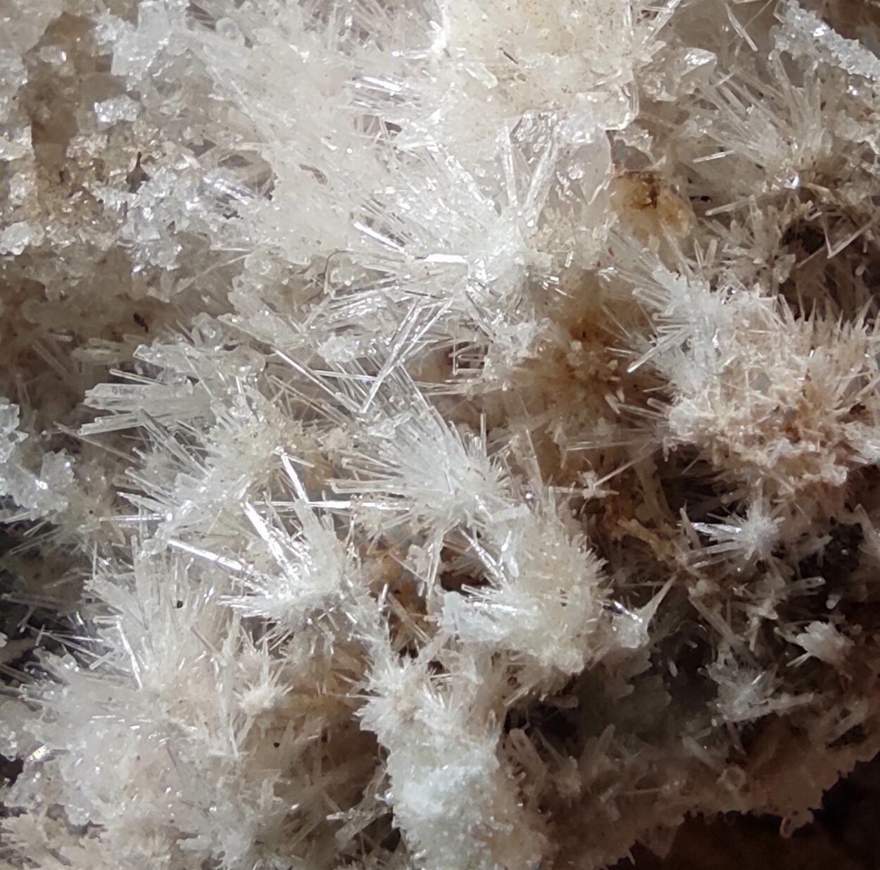 Aragonite & Calcite