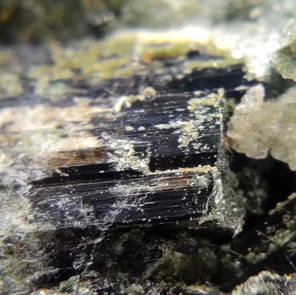Actinolite Ferro-actinolite & Epidote