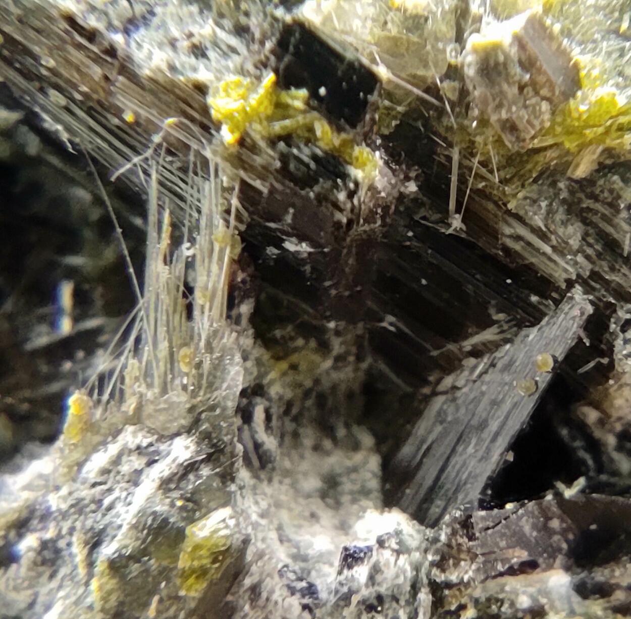 Actinolite Ferro-actinolite & Epidote