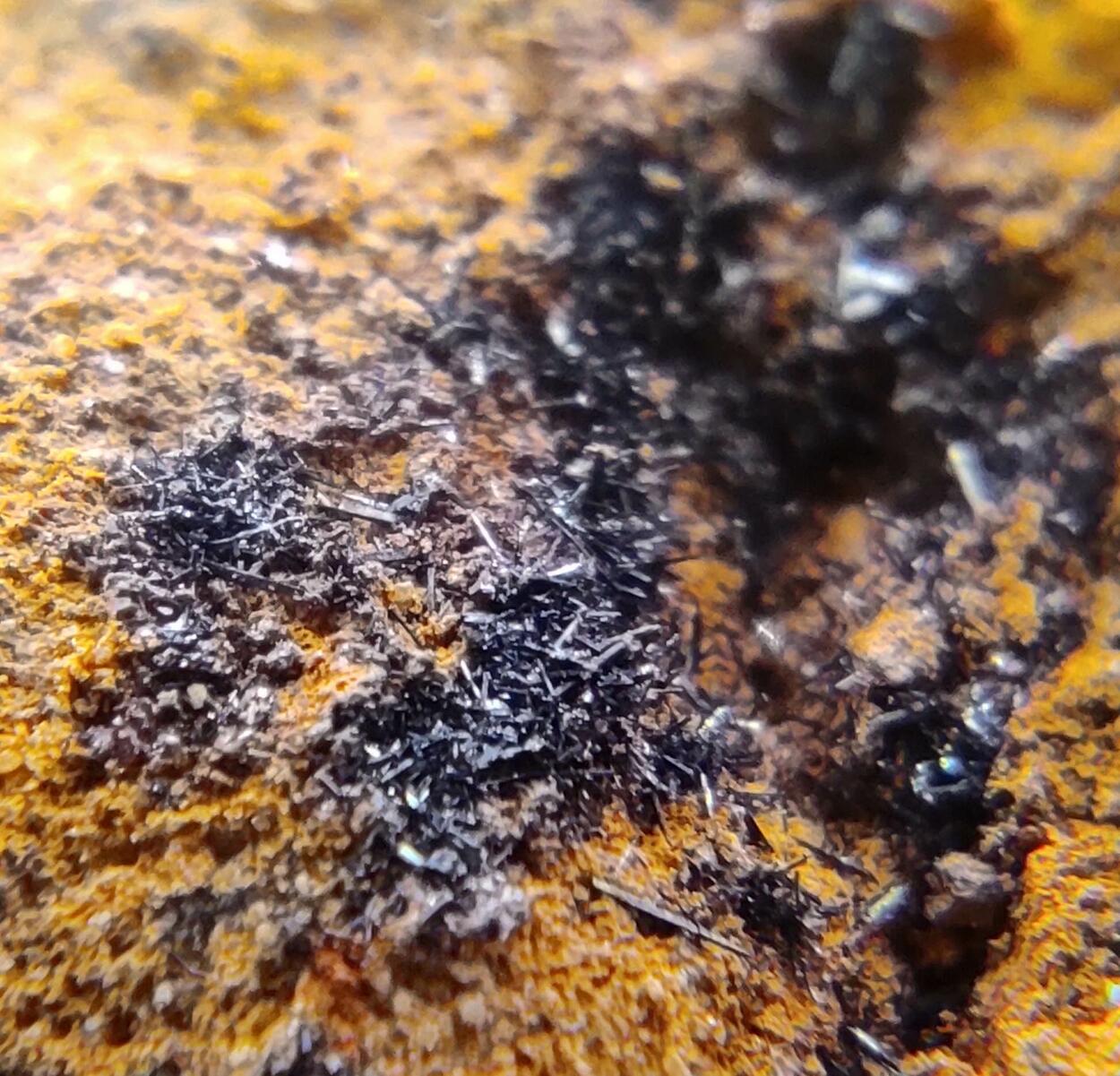 Descloizite & Plattnerite