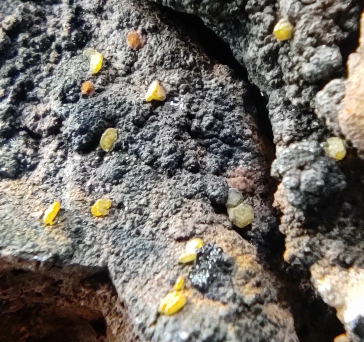 Campylite Mimetite & Cerussite On Limonite & Goethite