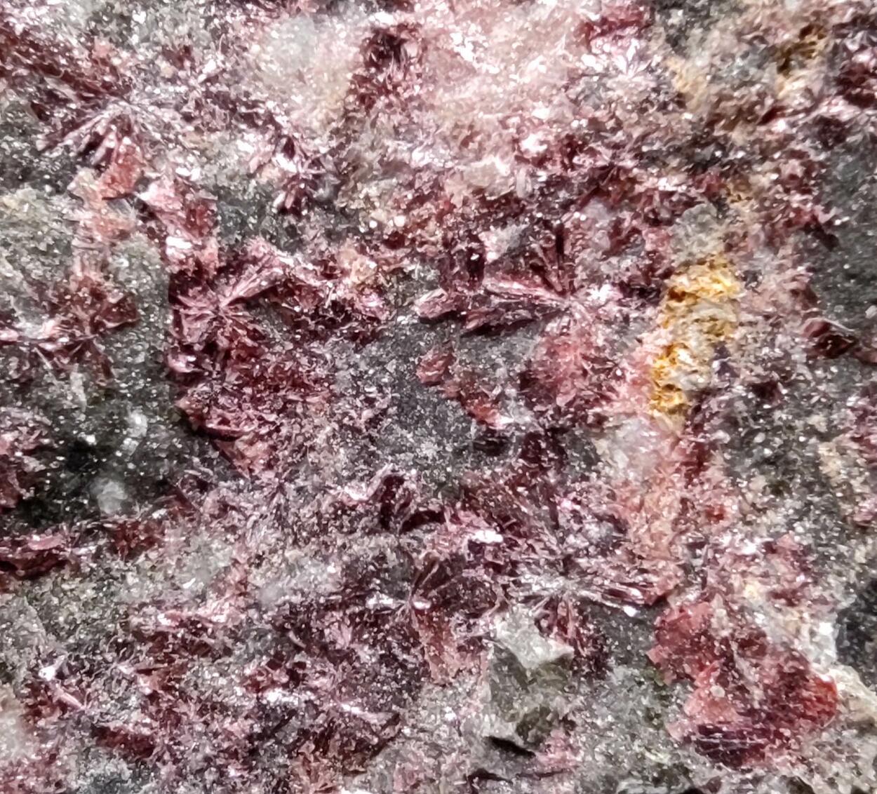 Erythrite