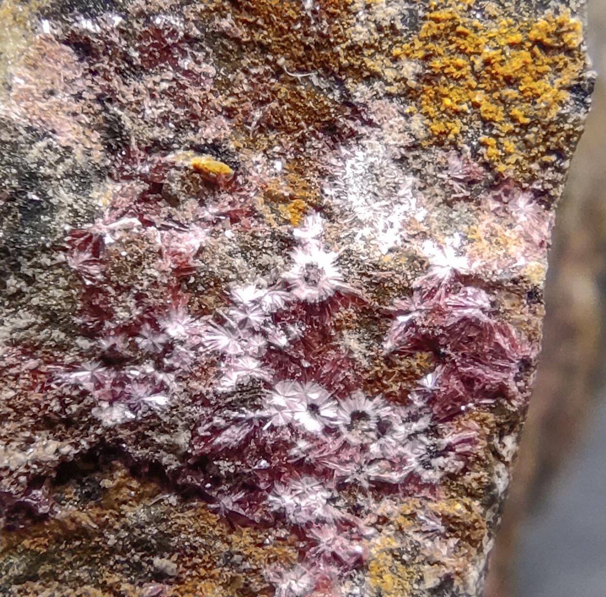 Erythrite