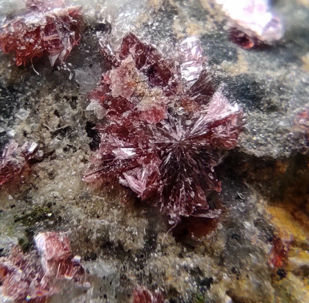 Erythrite