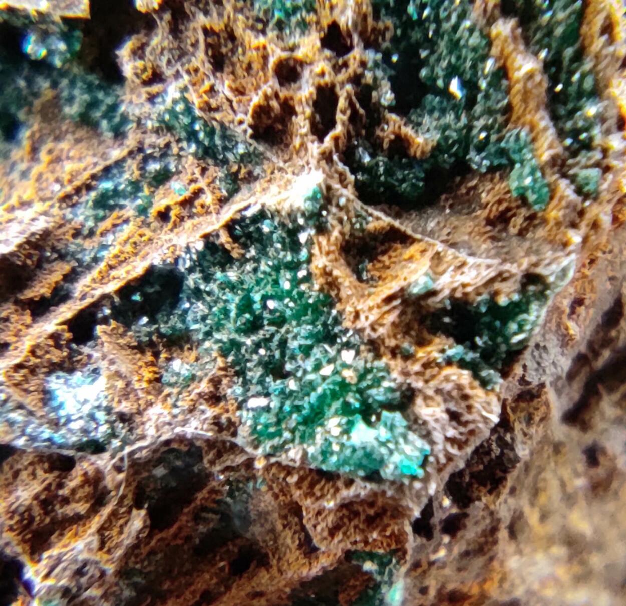 Reichenbachite Pseudomalachite Goethite On Limonite