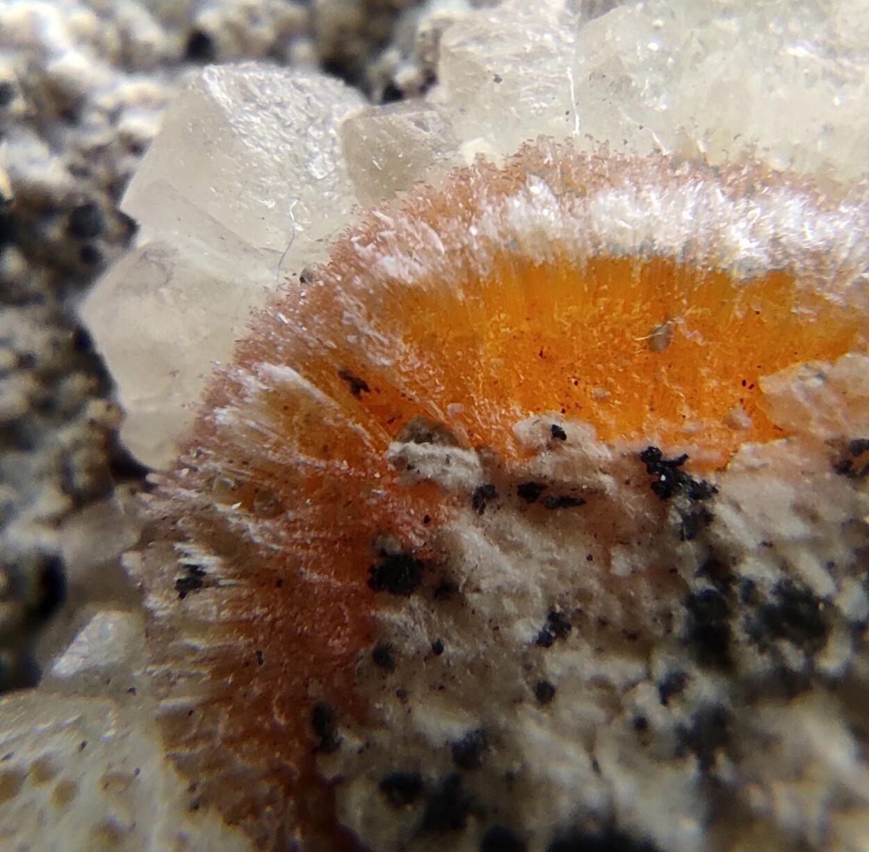 Ferrierite-Mg & Heulandite