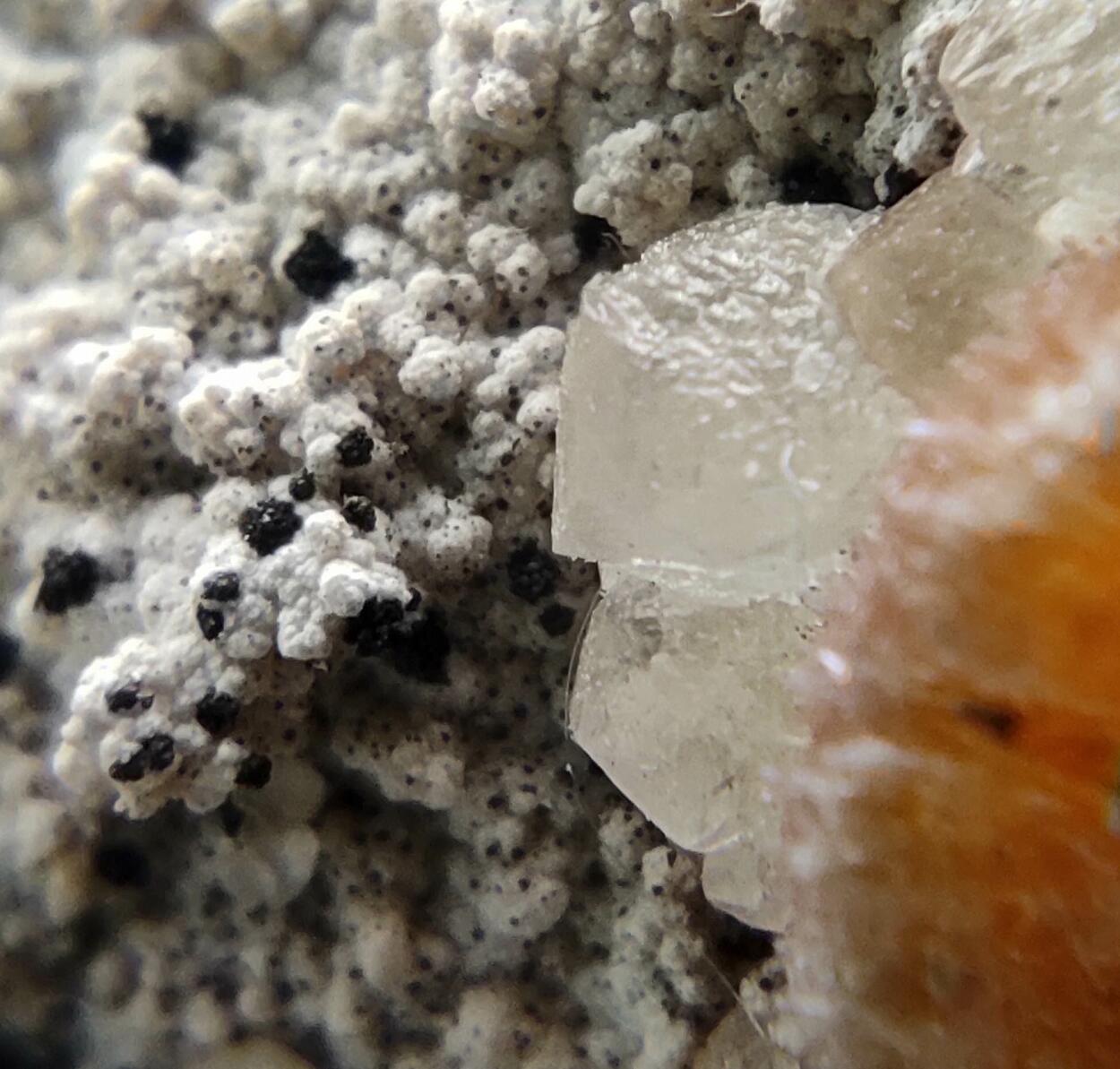 Ferrierite-Mg & Heulandite