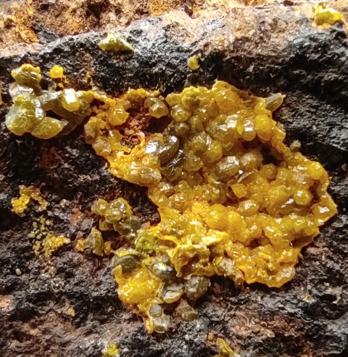 Campylite & Mimetite