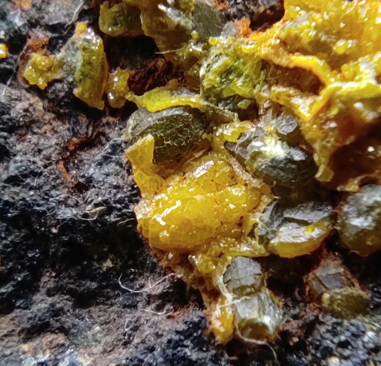 Campylite & Mimetite