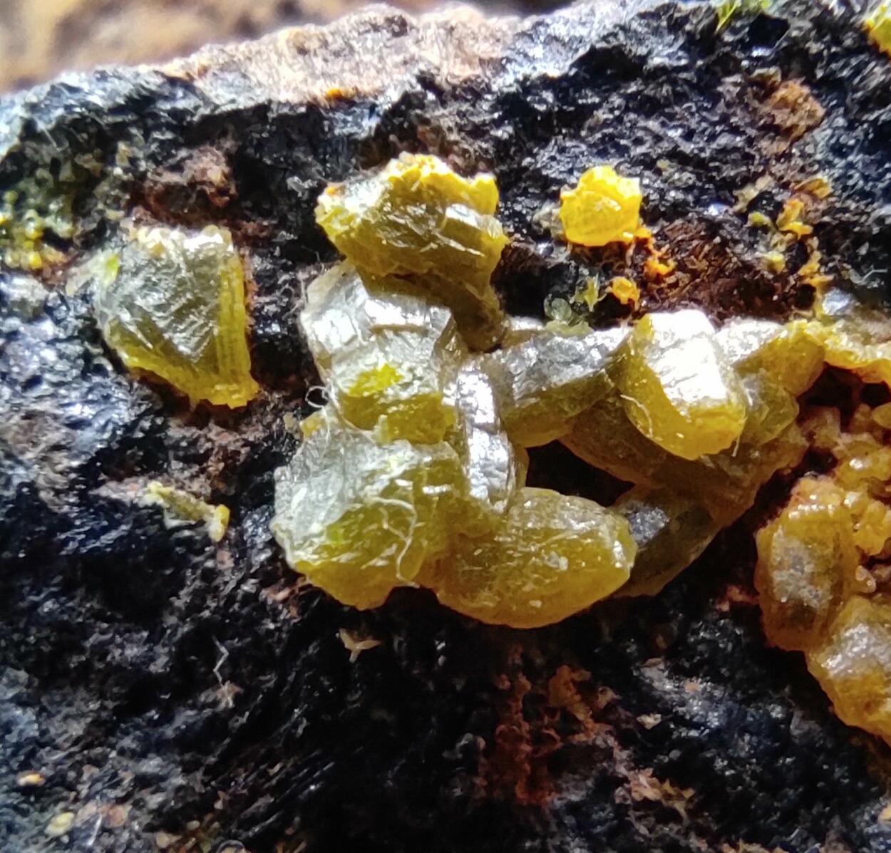 Campylite & Mimetite