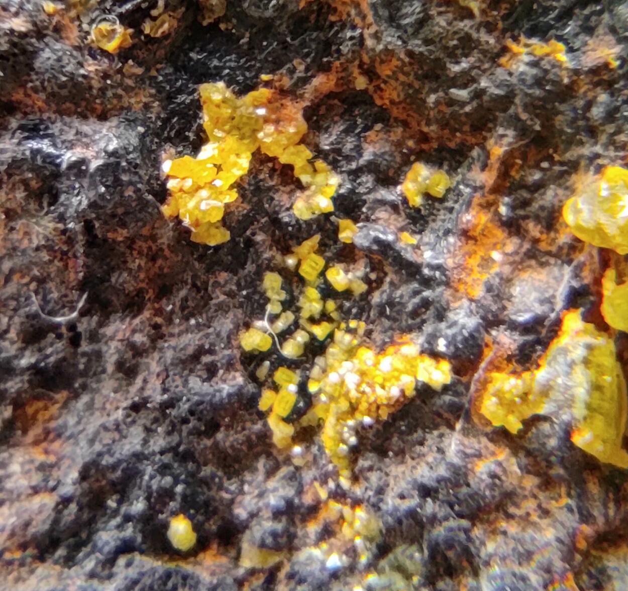 Campylite & Mimetite