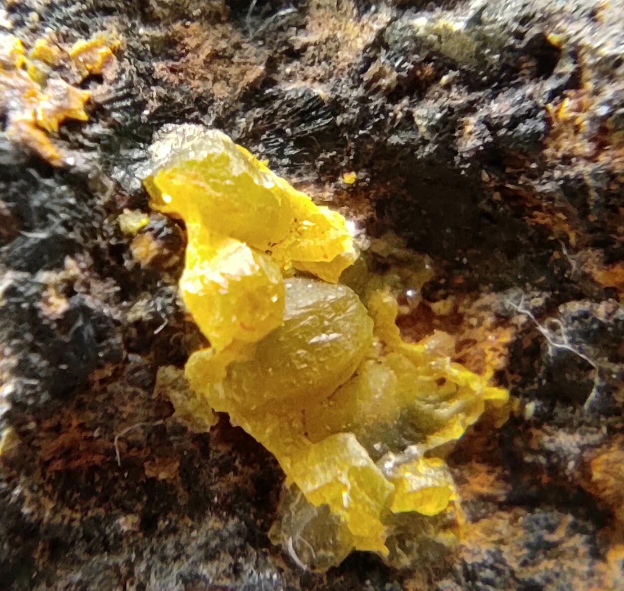 Campylite & Mimetite