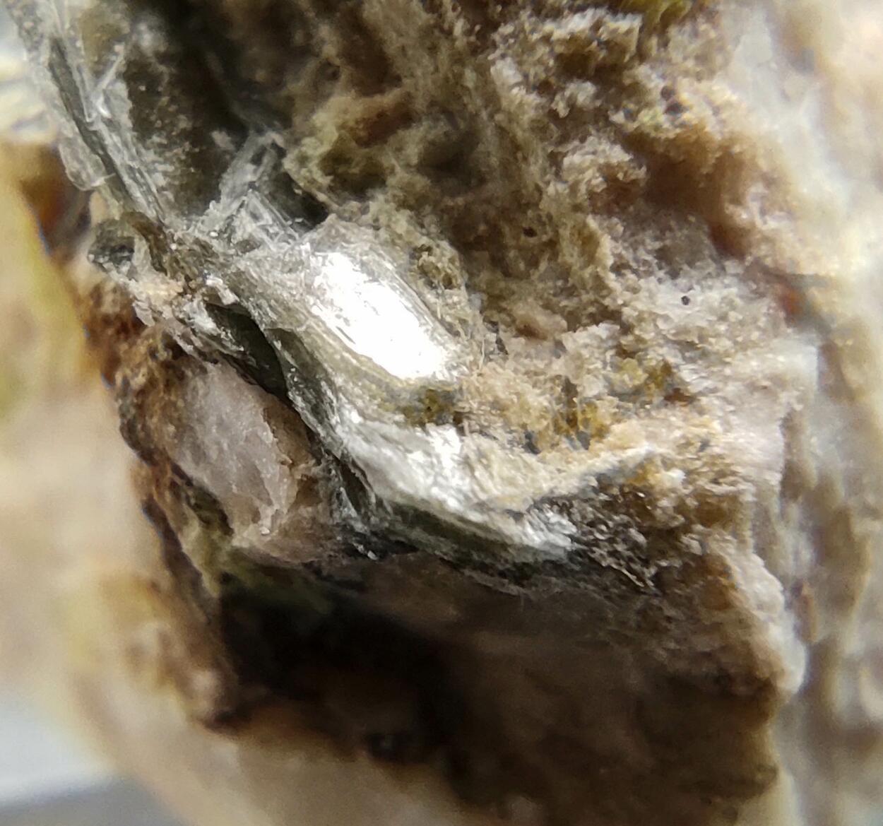 Uranocircite