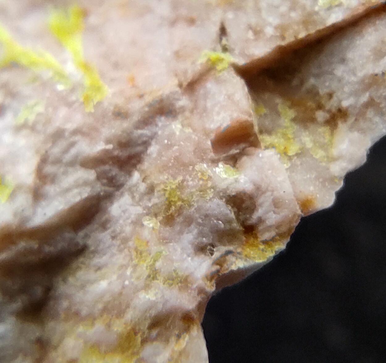 Uranocircite