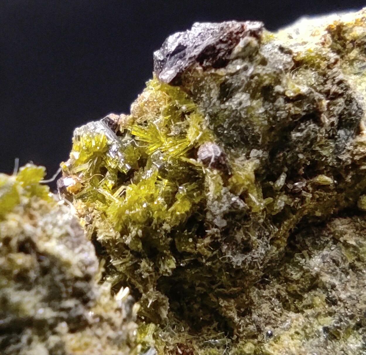 Epidote Ferro-actinolite & Pyrite