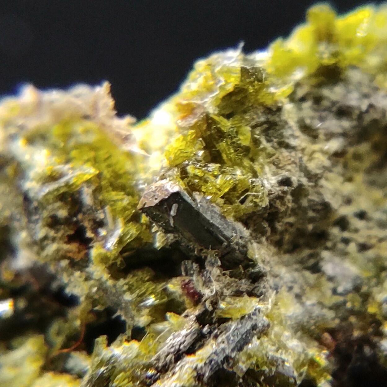 Epidote Ferro-actinolite & Pyrite