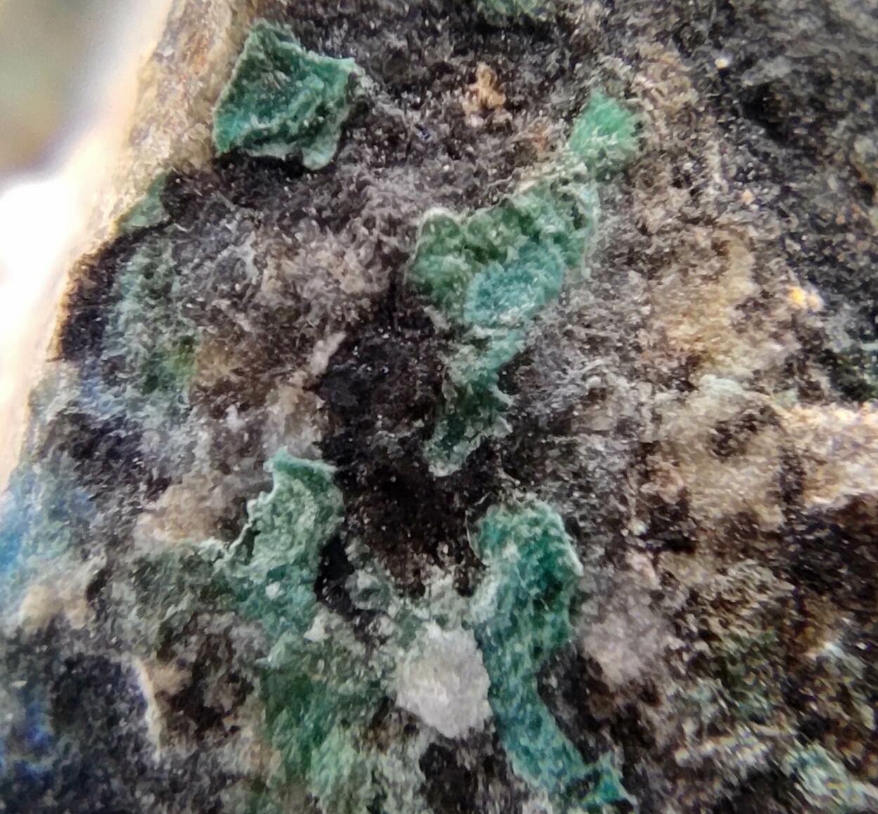 Theisite & Azurite