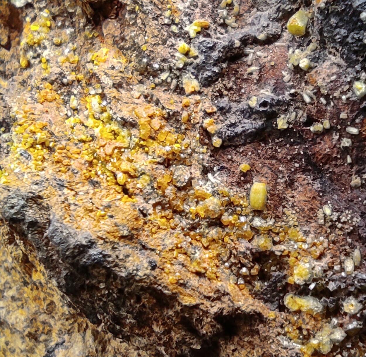 Mimetite Campylite & Goethite On Limonite