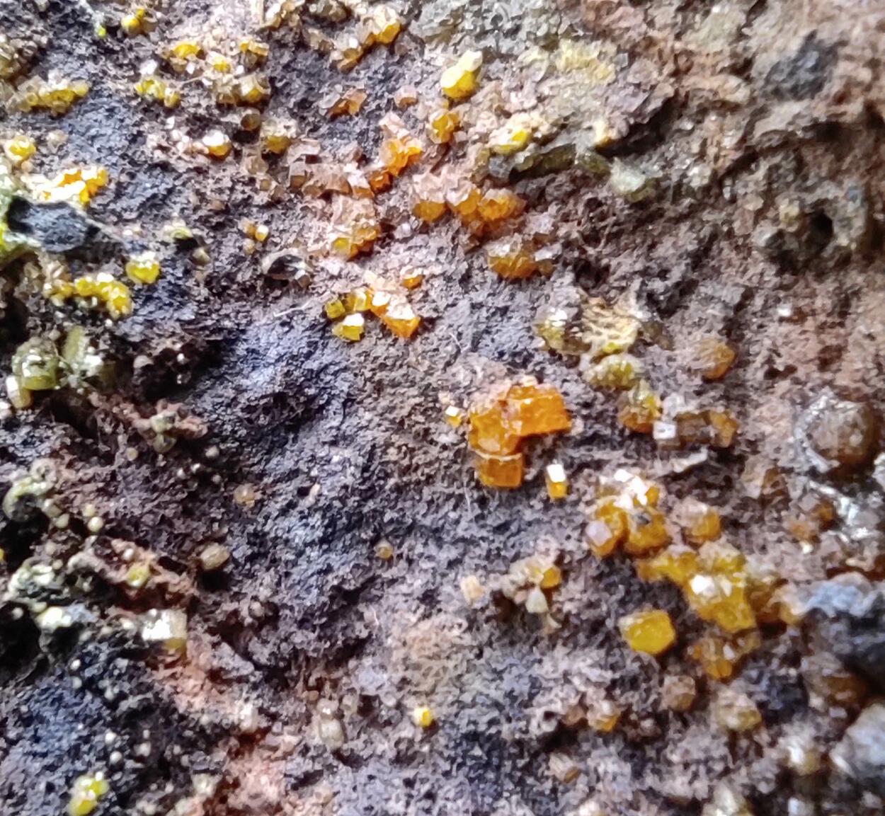 Mimetite Campylite & Goethite On Limonite