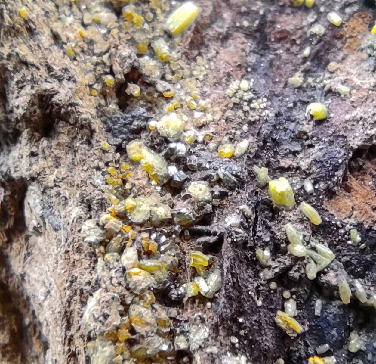 Mimetite Campylite & Goethite On Limonite