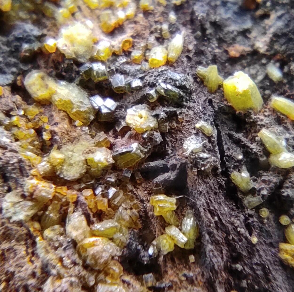 Mimetite Campylite & Goethite On Limonite