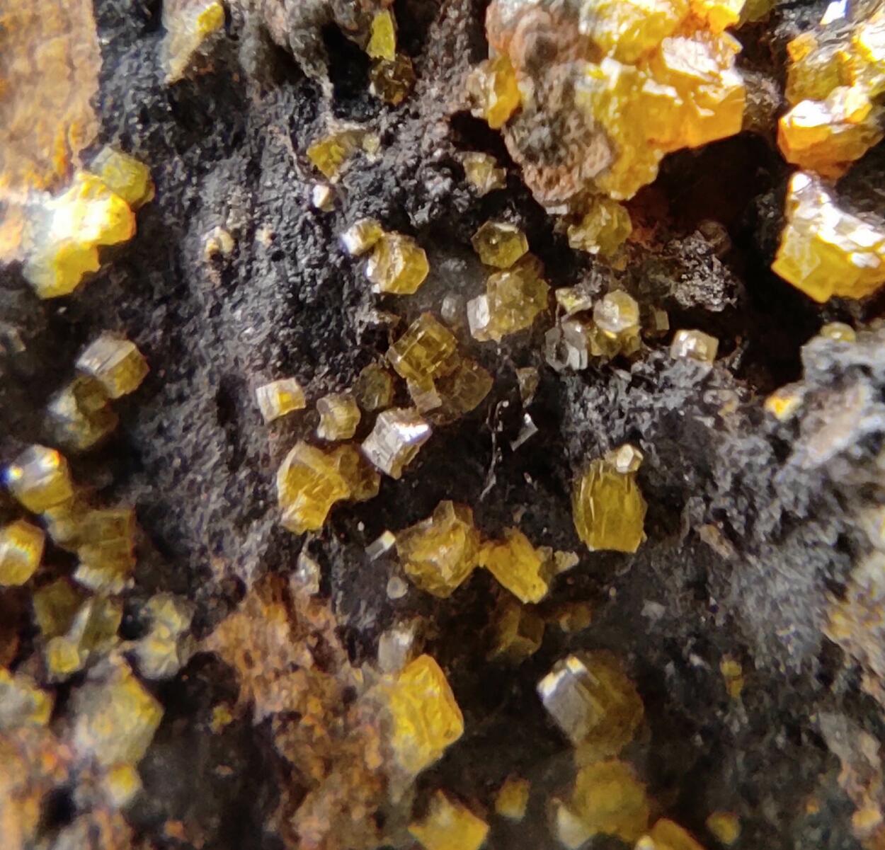 Mimetite Campylite & Goethite On Limonite