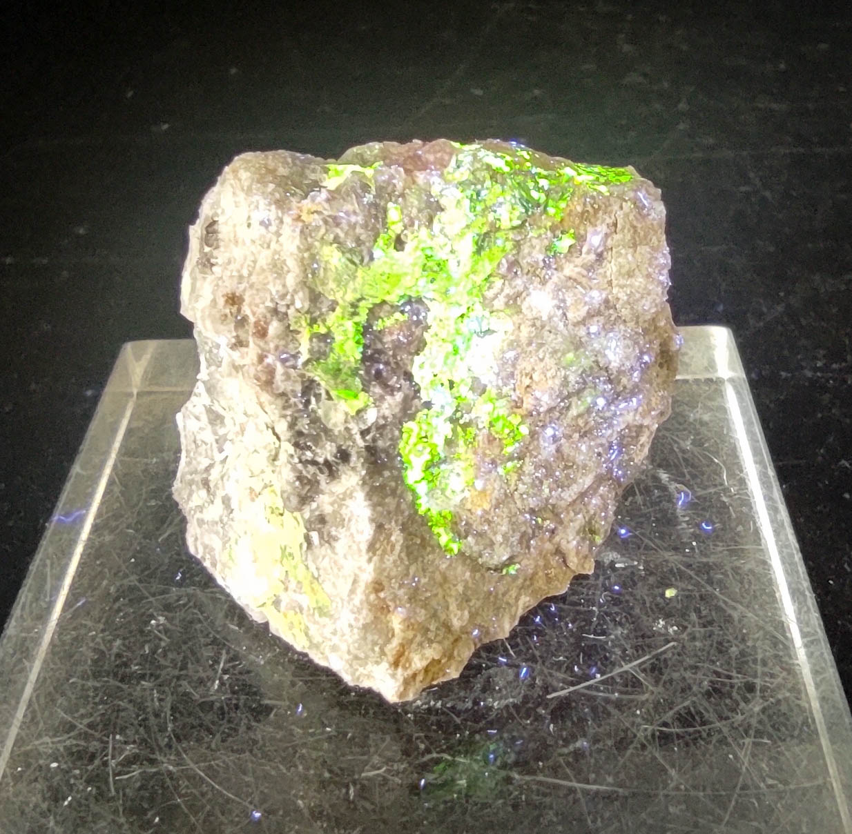 Autunite On Smoky Quartz