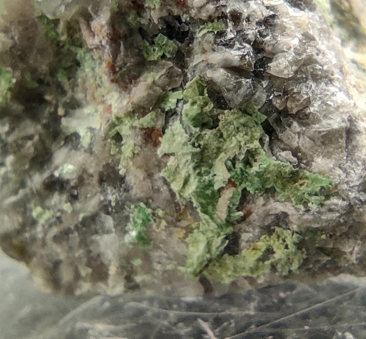 Autunite On Smoky Quartz