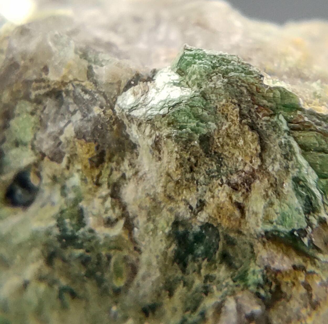 Autunite On Smoky Quartz