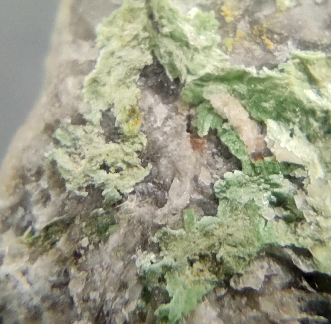 Autunite On Smoky Quartz