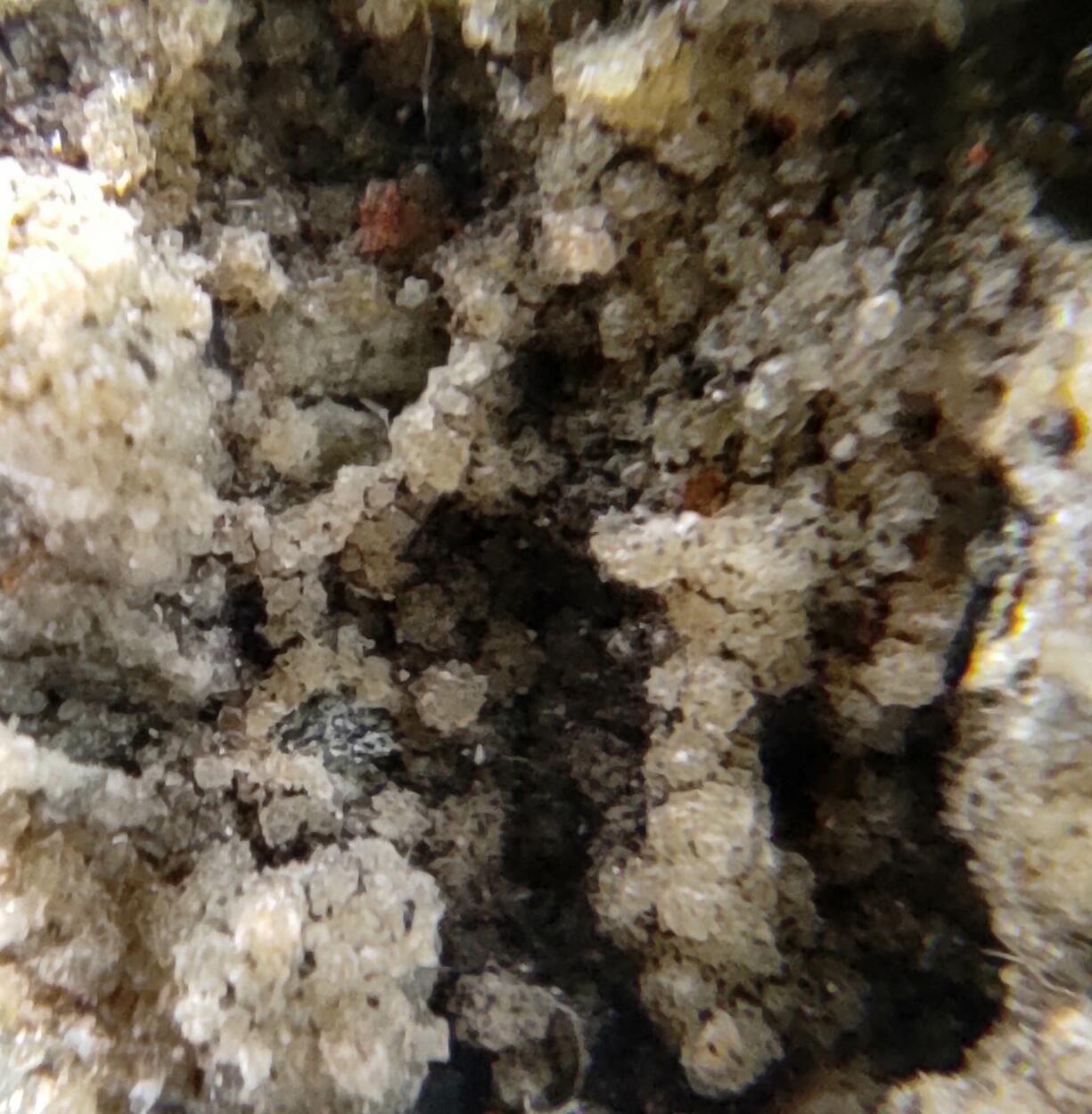 Analcime Titanite Calcite Hematite Prehnite & Actinolite