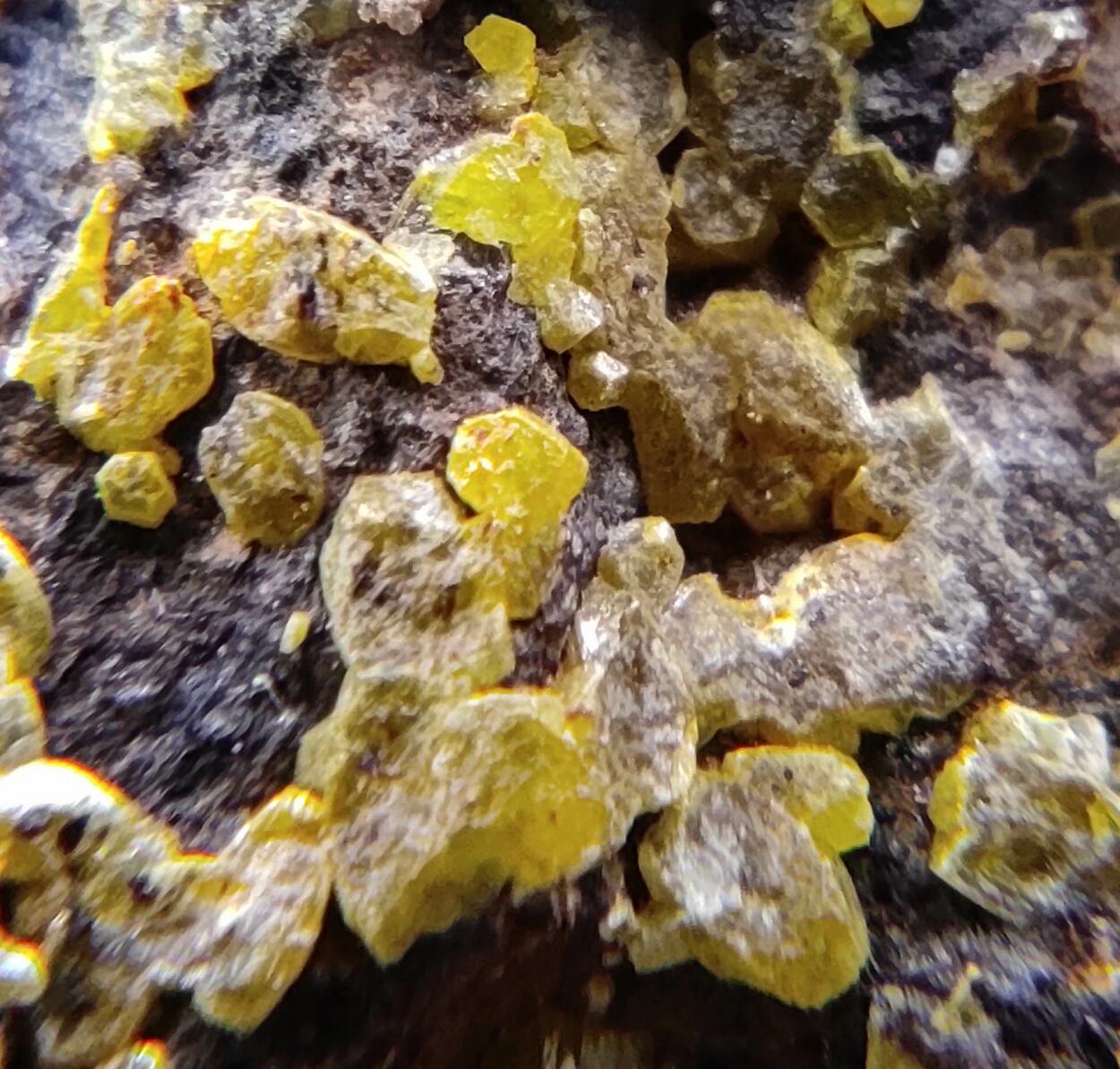 Mimetite Campylite & Goethite On Limonite