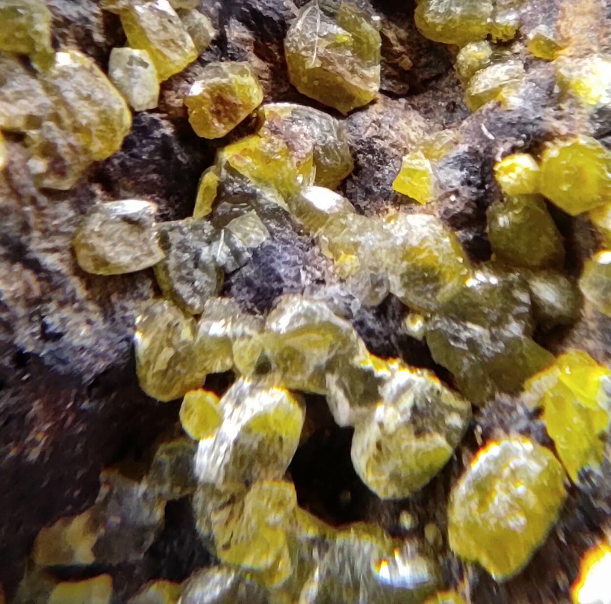 Mimetite Campylite & Goethite On Limonite