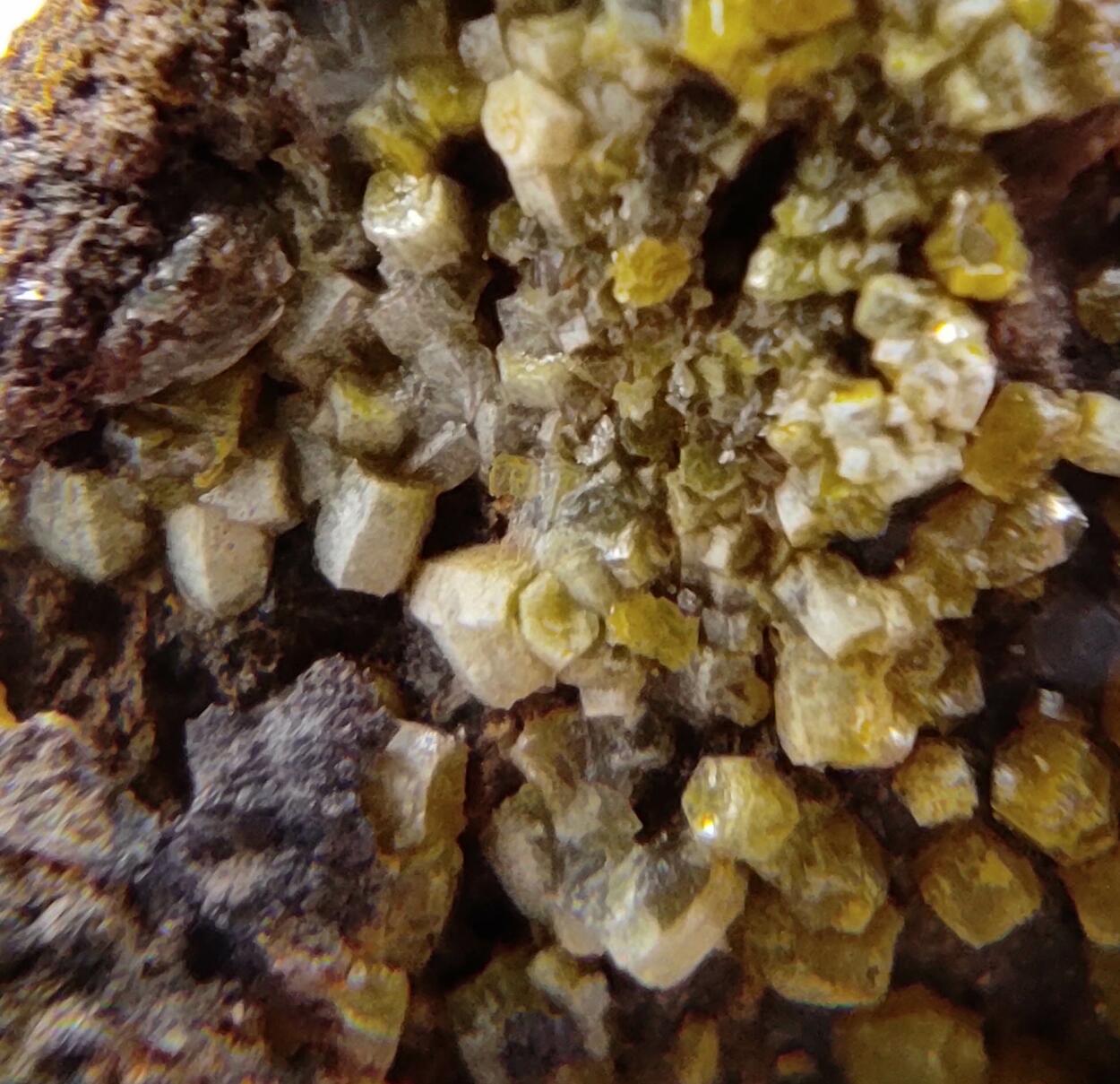 Mimetite Campylite & Goethite On Limonite
