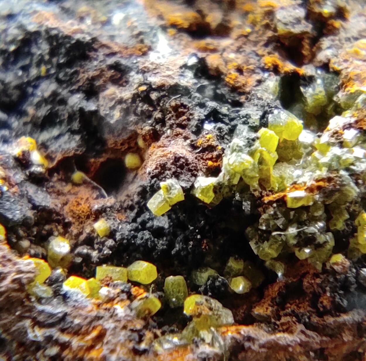 Mimetite Campylite & Goethite On Limonite