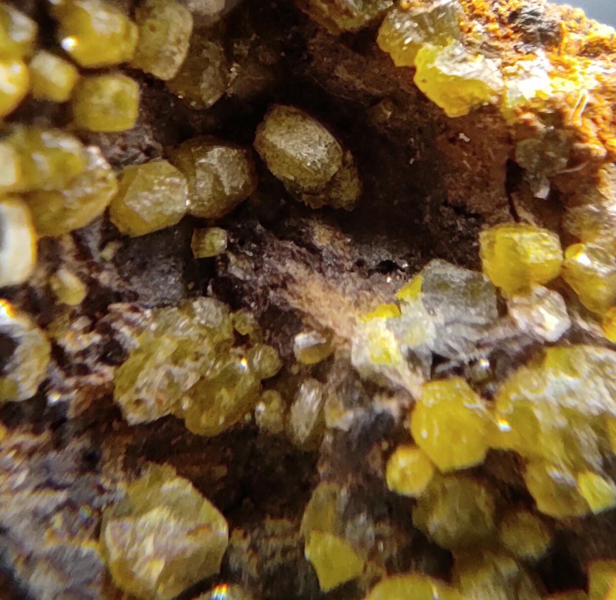 Mimetite Campylite & Goethite On Limonite