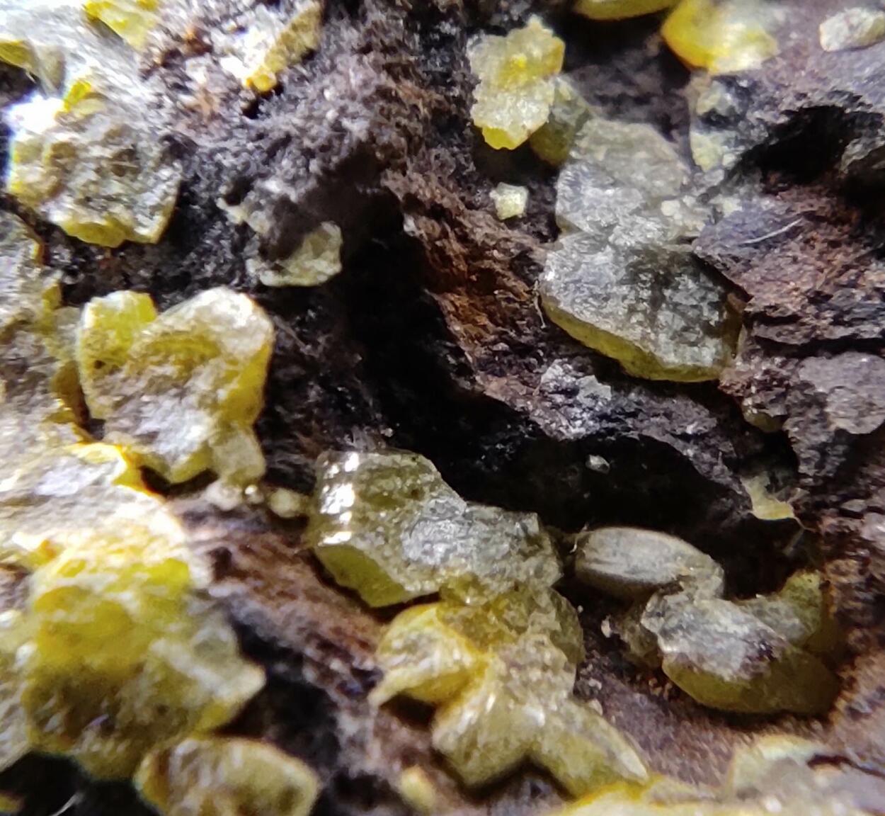 Mimetite Campylite & Goethite On Limonite