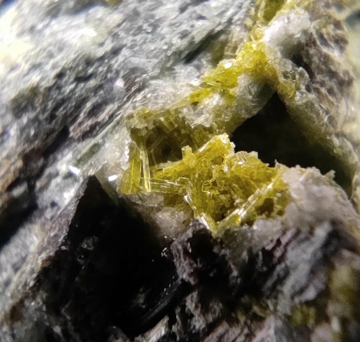 Actinolite Ferro-actinolite & Epidote