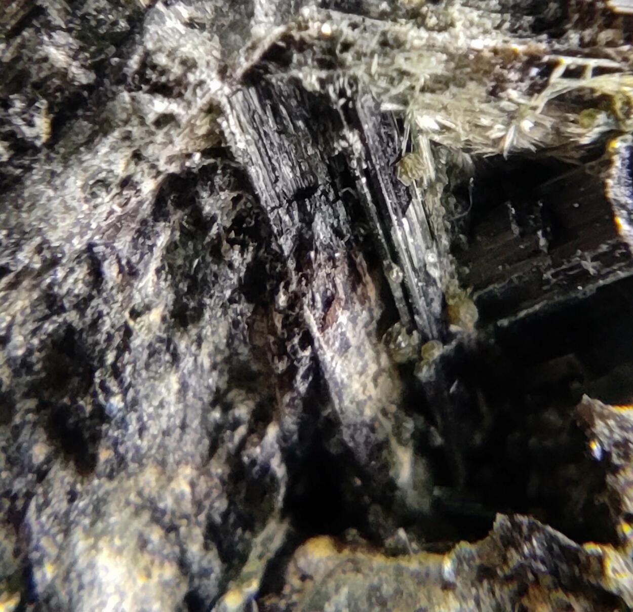 Actinolite Ferro-actinolite & Epidote