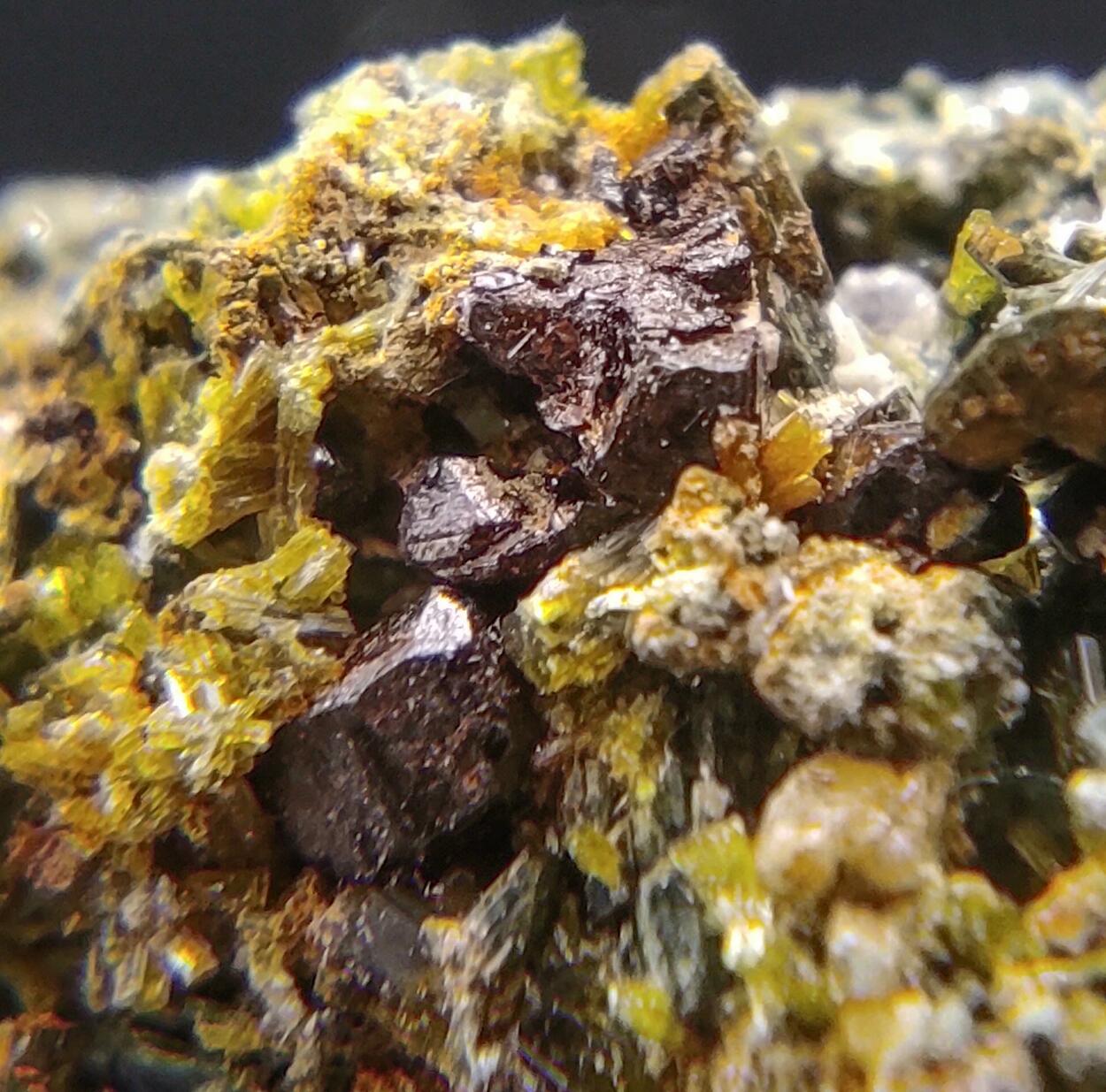 Axinite Pyrite Ferro-actinolite & Epidote